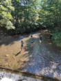 /album/2025-campus-destiu/img-20250715-wa0016-jpg/