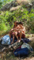 /album/2025-campus-destiu/img-20250721-wa0011-jpg/