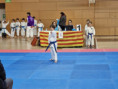 /album/2026-marc-campionat-la-seu-durgell/roc-jpeg/