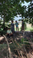 /album/2026-juliol-i-agost-casal-estiu/img-20260819-wa0065-jpg/