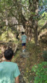 /album/2026-juliol-i-agost-casal-estiu/img-20260819-wa0104-jpg/