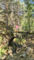 /album/2026-juliol-i-agost-casal-estiu/img-20260819-wa0123-jpg/