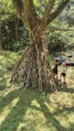 /album/2026-juliol-i-agost-casal-estiu/img-20260819-wa0139-jpg/