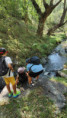 /album/2026-juliol-i-agost-casal-estiu/img-20260819-wa0117-jpg/