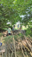 /album/2026-juliol-i-agost-casal-estiu/img-20260819-wa0143-jpg/