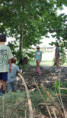 /album/2026-juliol-i-agost-casal-estiu/img-20260819-wa0145-jpg/