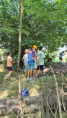 /album/2026-juliol-i-agost-casal-estiu/img-20260819-wa0084-jpg/