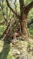 /album/2026-juliol-i-agost-casal-estiu/img-20260819-wa0137-jpg/