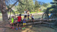 /album/2026-juliol-i-agost-casal-estiu/img-20260819-wa0165-jpg/