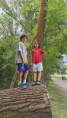 /album/2026-juliol-i-agost-casal-estiu/img-20260819-wa0174-jpg/