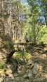 /album/2026-juliol-i-agost-casal-estiu/img-20260819-wa0179-jpg/