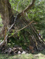 /album/2026-juliol-i-agost-casal-estiu/img-20260827-wa0037-jpg/